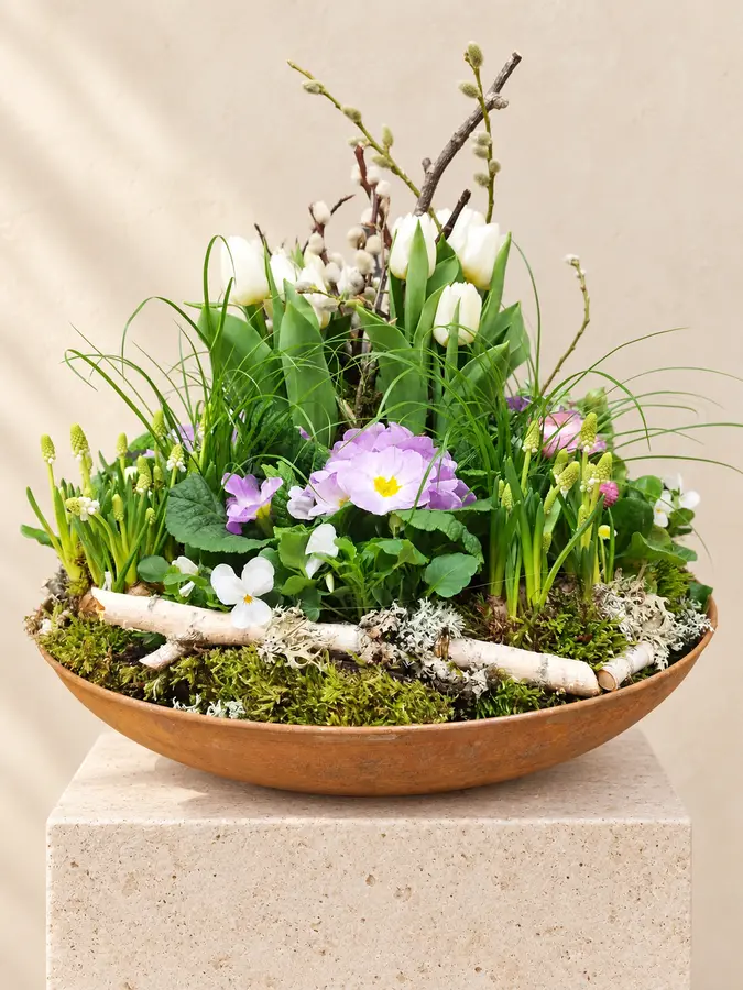 Frühlingsschale mit weißen Tulpen, Primeln, Veilchen, Traubenhyazinthen und Weidenkätzchen